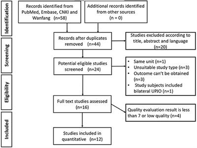 Meta-Analysis of the Efficacy of Laparoscopic Pyeloplasty for Ureteropelvic Junction Obstruction via Retroperitoneal and Transperitoneal Approaches